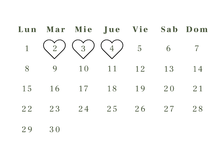 Calendario